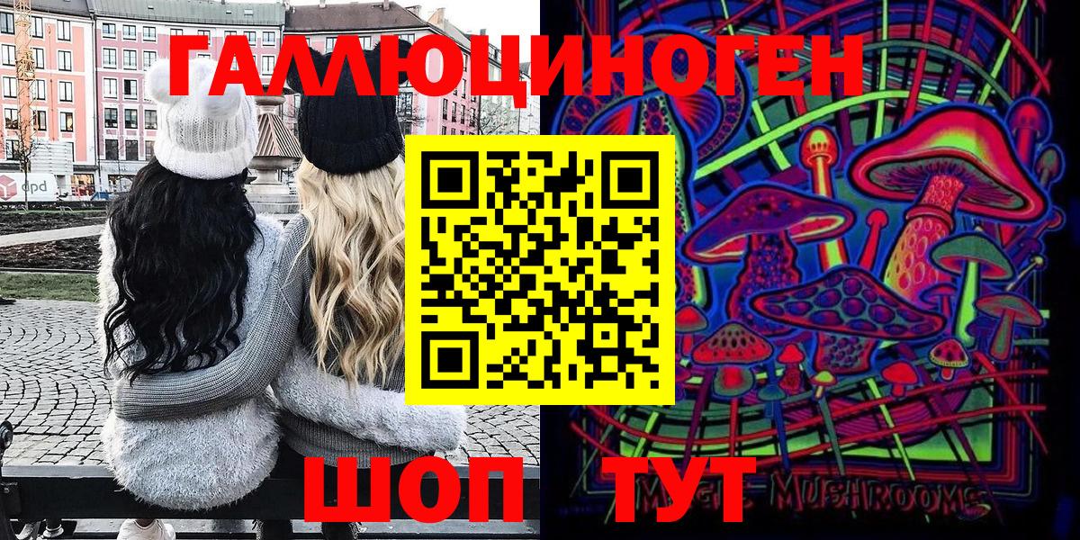 Галлюциногенные грибы Psilocybe  Вход с VPN  купить наркоту  Новошахтинск 