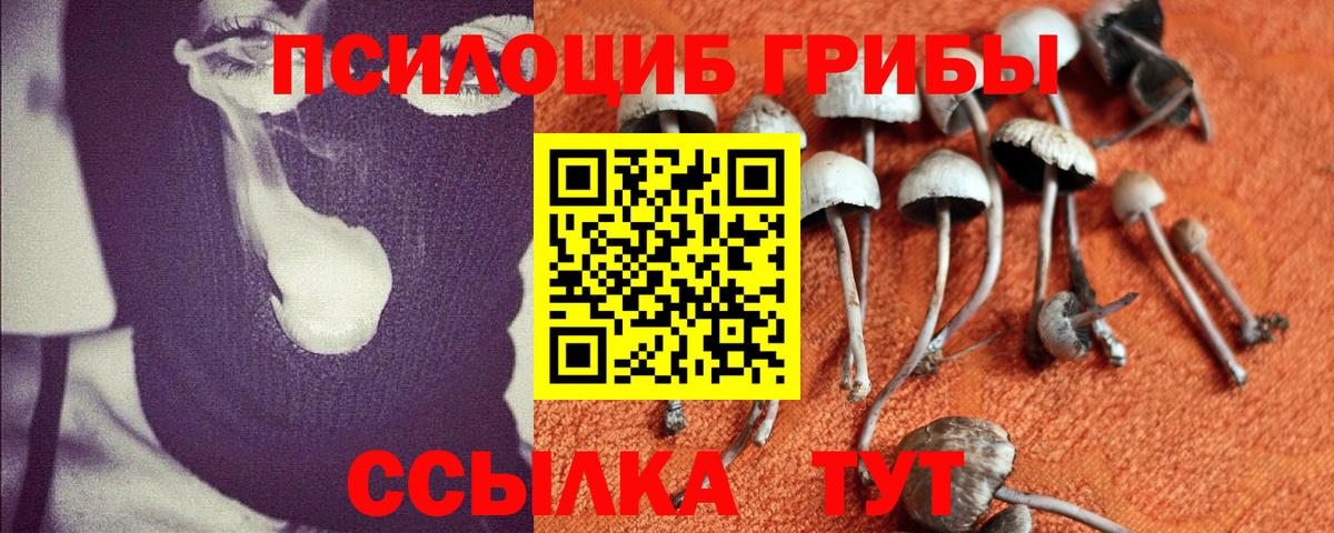 Галлюциногенные грибы прущие грибы Новошахтинск