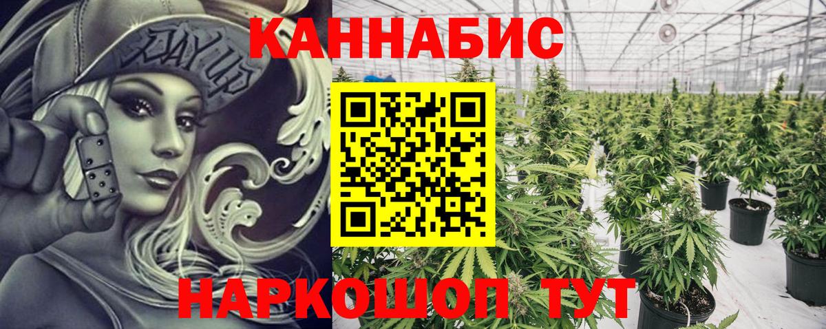 Конопля SATIVA & INDICA Новошахтинск